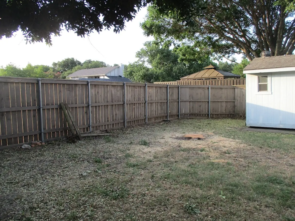 Cleared yard after professional tree removal in Sanders