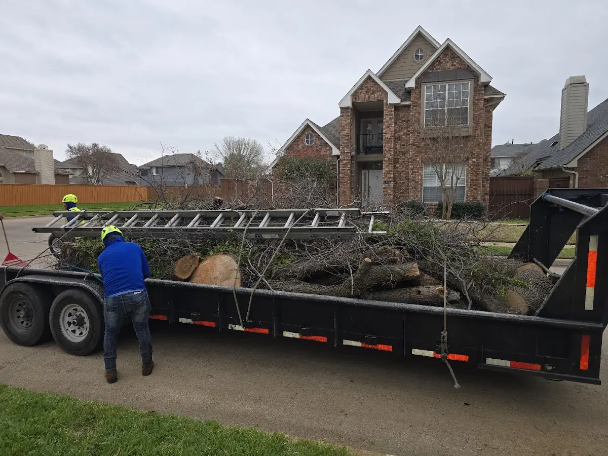 Expert Tree Fertilization with proper safety equipment in Sanders